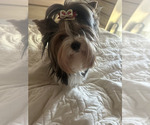 Small #10 Breeder Profile image