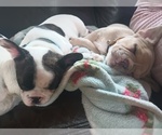 Small #2 Breeder Profile image