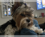 Small #15 Breeder Profile image