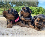 Small #5 Breeder Profile image