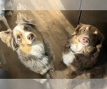Small #15 Breeder Profile image