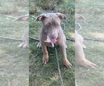 Small #5 Breeder Profile image