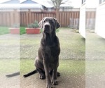 Small #4 Breeder Profile image