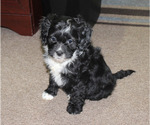 Small #19 Breeder Profile image
