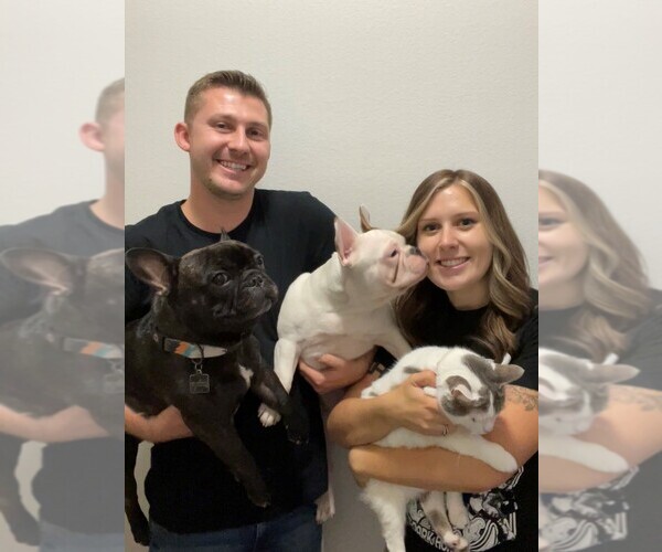 Medium Photo #1  Breeder Profile in FORT WORTH, TX, USA