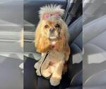 Small #48 Breeder Profile image