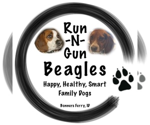 Beagle Dog Breeder near BONNERS FERRY, ID, USA