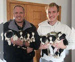 Small #1 Breeder Profile image