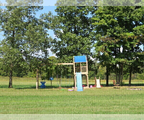 Medium Photo #1  Breeder Profile in SHILOH, OH, USA