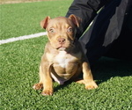 Small #3 Breeder Profile image
