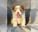 Small #3 Breeder Profile image