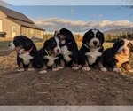 Small Photo #17  Breeder Profile in BONNERS FERRY, ID, USA