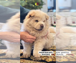 Small #1 Breeder Profile image