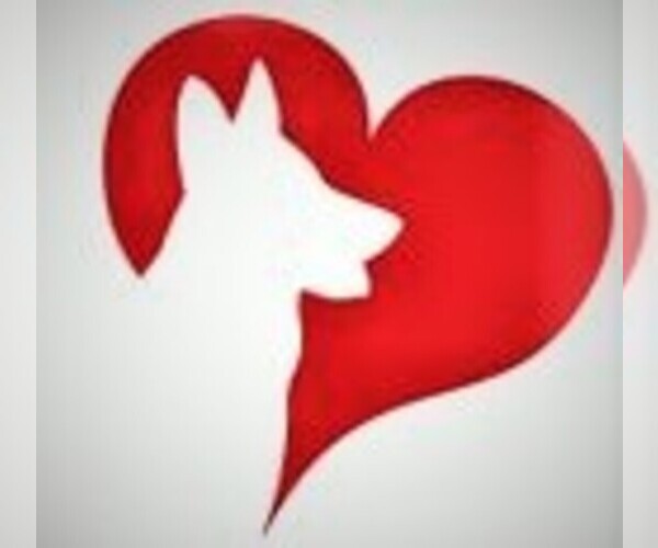 Medium Photo #1  Breeder Profile in WILLIAMSON, NY, USA