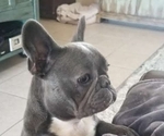 Small #10 Breeder Profile image