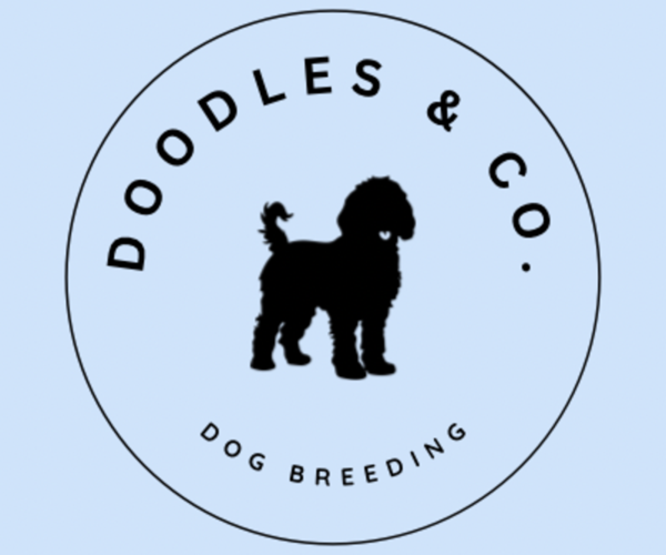 Medium Photo #1  Breeder Profile in HOLTON, KS, USA