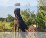 Small #7 Breeder Profile image