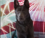 Small #5 Breeder Profile image