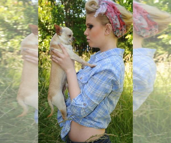 Medium Photo #1  Breeder Profile in SACRAMENTO, CA, USA