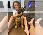 Small #27 Breeder Profile image