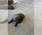 Small #11 Breeder Profile image