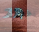 Small #297 Breeder Profile image