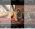 Small #8 Breeder Profile image