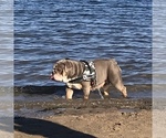 Small #6 Breeder Profile image