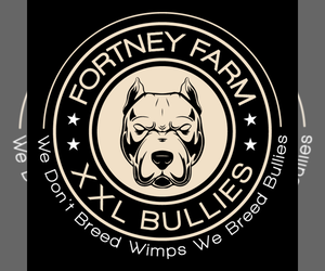American Bully Dog Breeder in CORNING,  USA