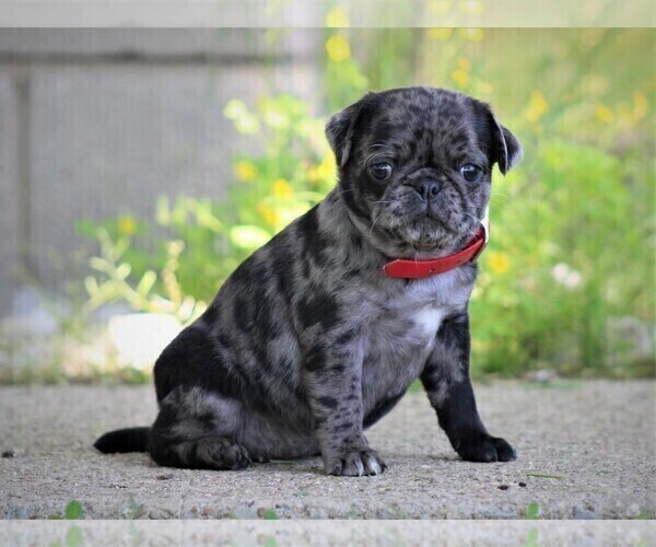 Medium Photo #2  Breeder Profile in LIBERTY, KY, USA