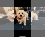 Small #11 Breeder Profile image