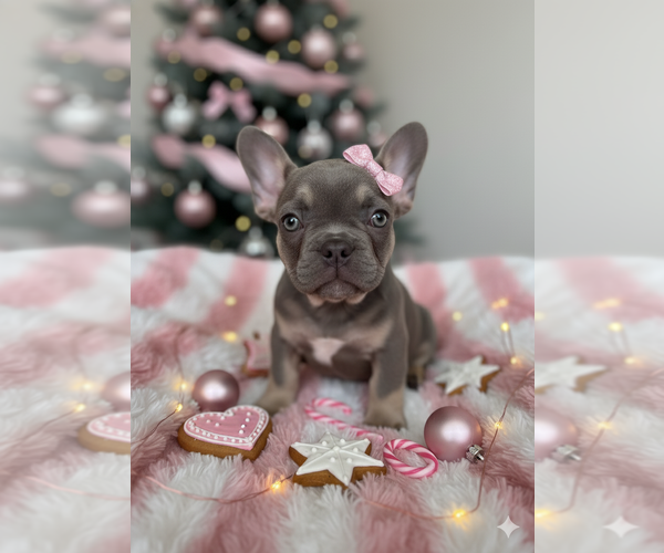 Medium Photo #6  Breeder Profile in BAKERSFIELD, CA, USA