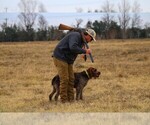Small #1 Breeder Profile image