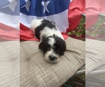 Small #6 Breeder Profile image