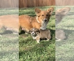 Small #15 Breeder Profile image