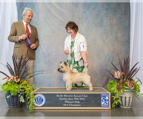 Medium Photo #6  Breeder Profile in ROCKFORD, IL, USA