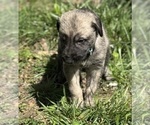 Small #25 Breeder Profile image
