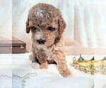 Small #5 Breeder Profile image