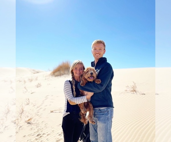 Medium Photo #1  Breeder Profile in AMES, IA, USA
