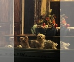 Small #23 Breeder Profile image