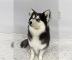 Small #12 Breeder Profile image