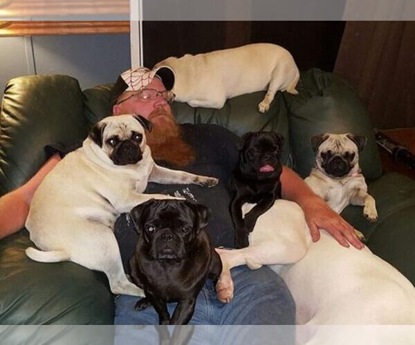 Medium Photo #1  Breeder Profile in PARSONS, KS, USA