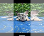 Small #3 Breeder Profile image