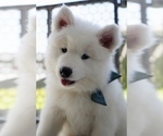 Small #3 Breeder Profile image