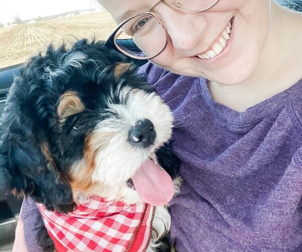 Medium Photo #1  Breeder Profile in MANTENO, IL, USA