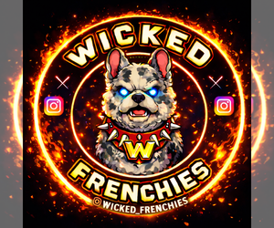 Medium Breeder Profile Photo