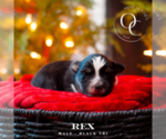 Small #5 Breeder Profile image