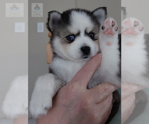 Medium Photo #40  Breeder Profile in BURNS TOWNSHIP, MN, USA