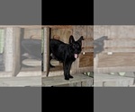 Small #4 Breeder Profile image