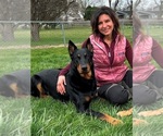 Small #1 Breeder Profile image
